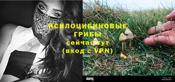 трава Алексеевка