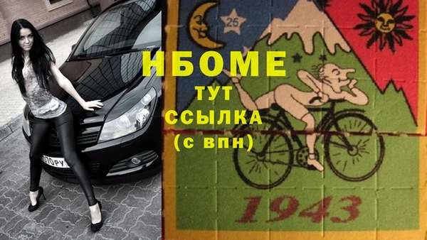 СК Алексин