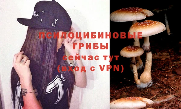 мяу мяу мука Алзамай