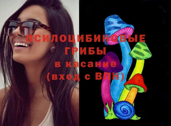 СК Алексин